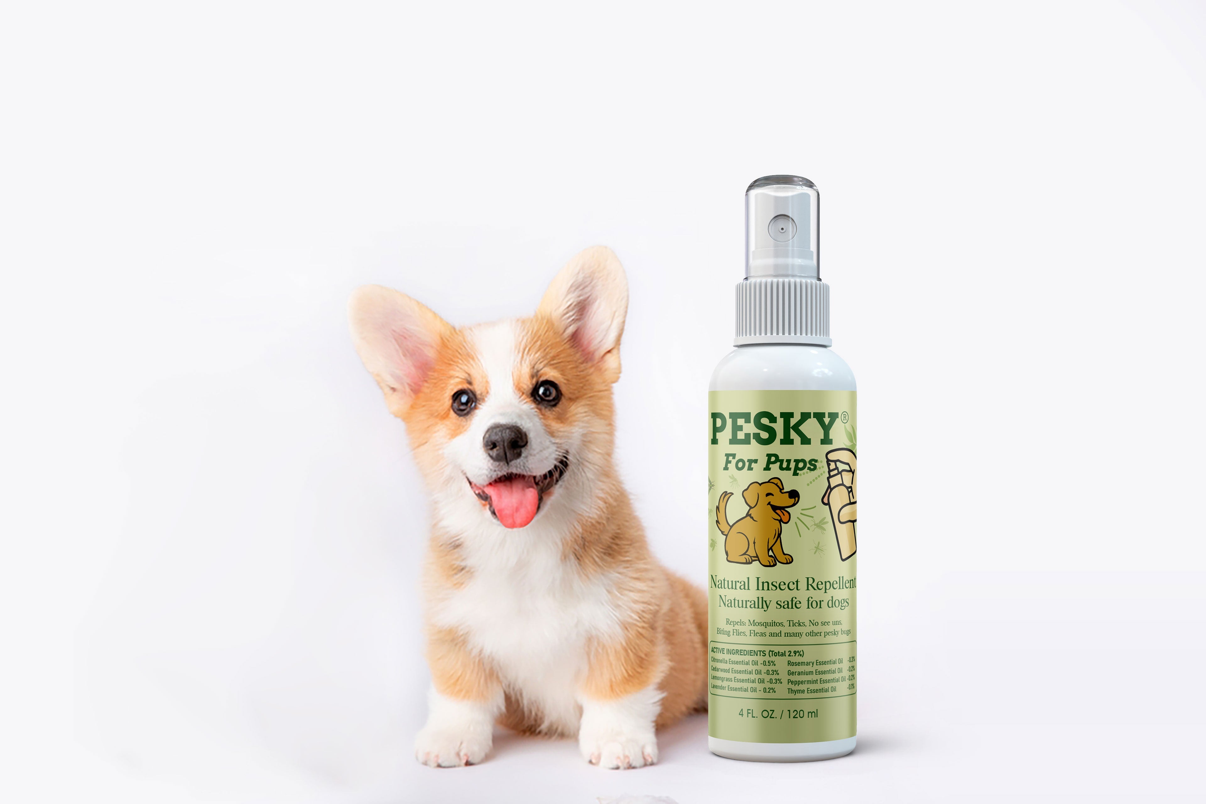 🐶 PESKY for Pups — Natural Insect Repellent for Dogs-0