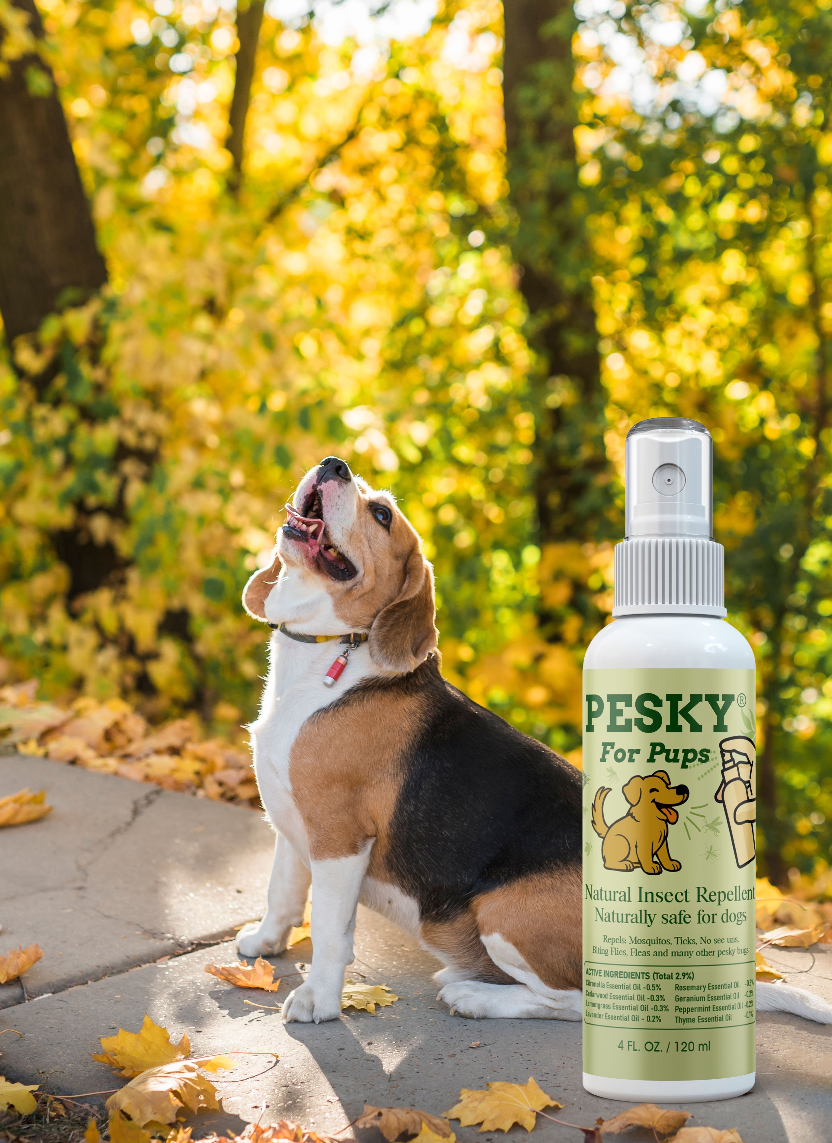 🐶 PESKY for Pups 2oz — Natural Insect Repellent for Dogs-1