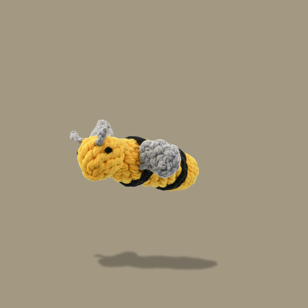 Queen the Bee Rope Toy-1