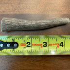 SMALL Whole Elk Antler Dog Chew, SIZE MEASUREMENT