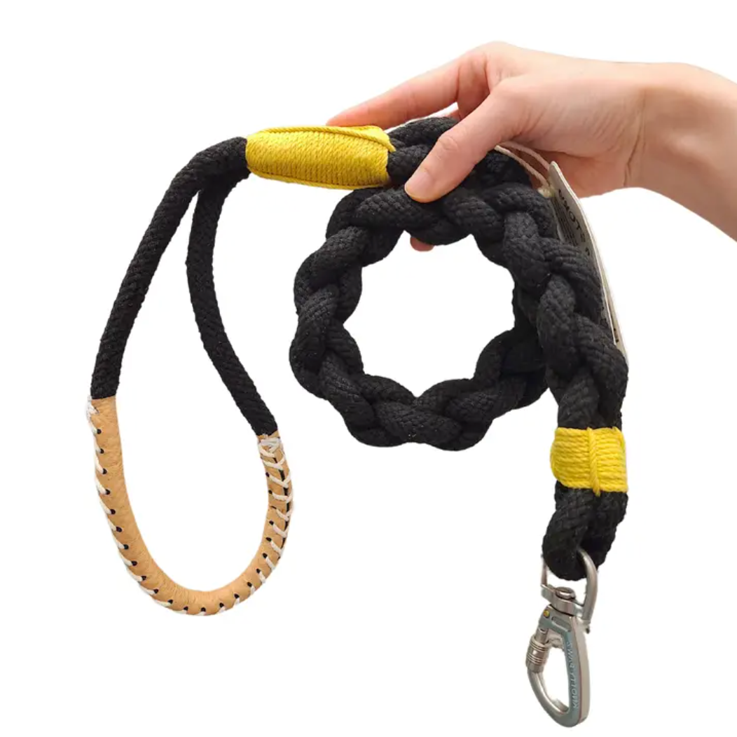 Xena Wanderlust Dog Leash – Stylish, Durable Cotton Rope by Knotty Pawz