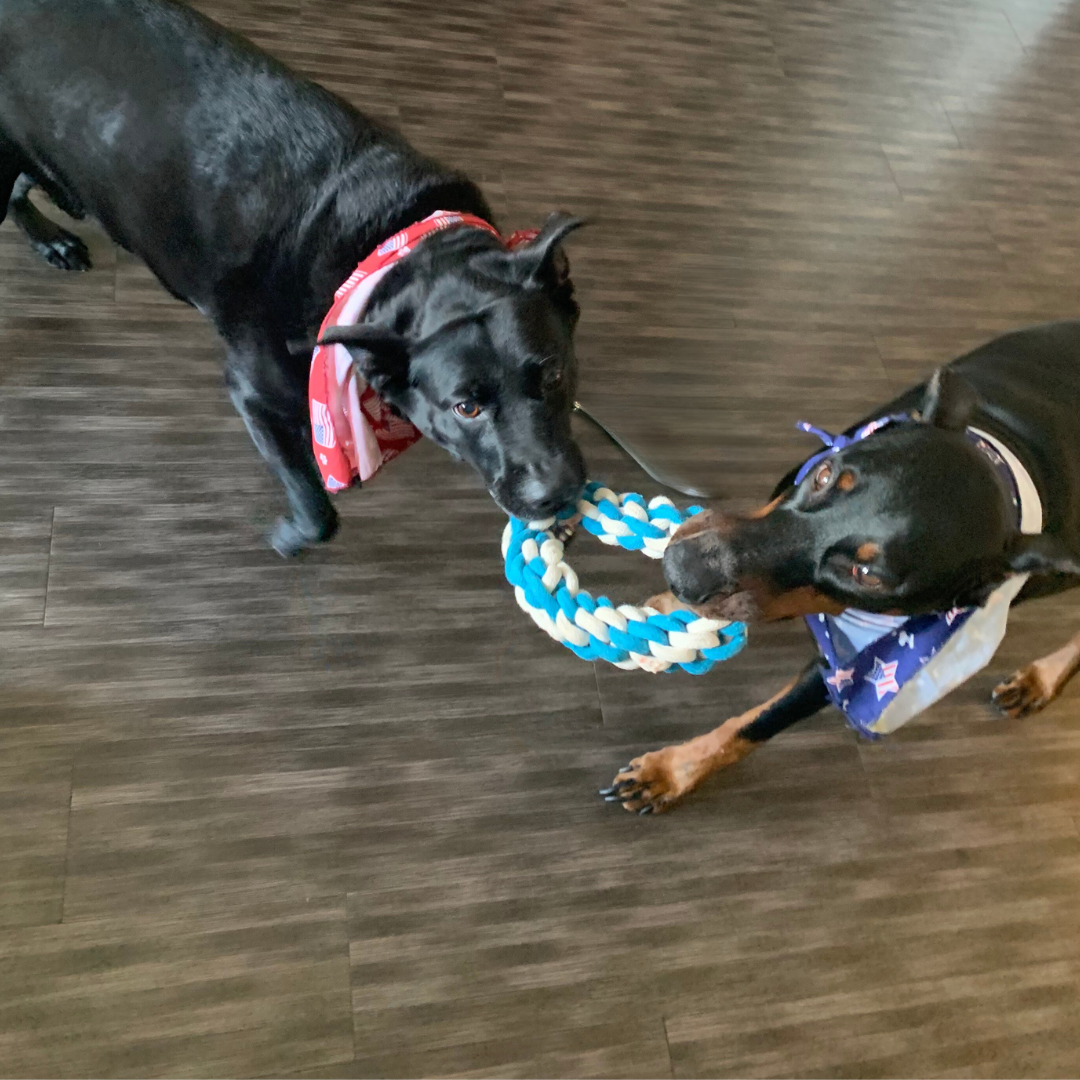 Sky and Cloud Rope Tug Toy Set-2