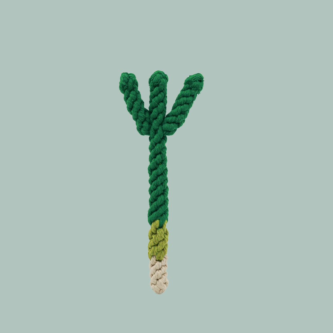 Handmade Scallion Rope Toy
