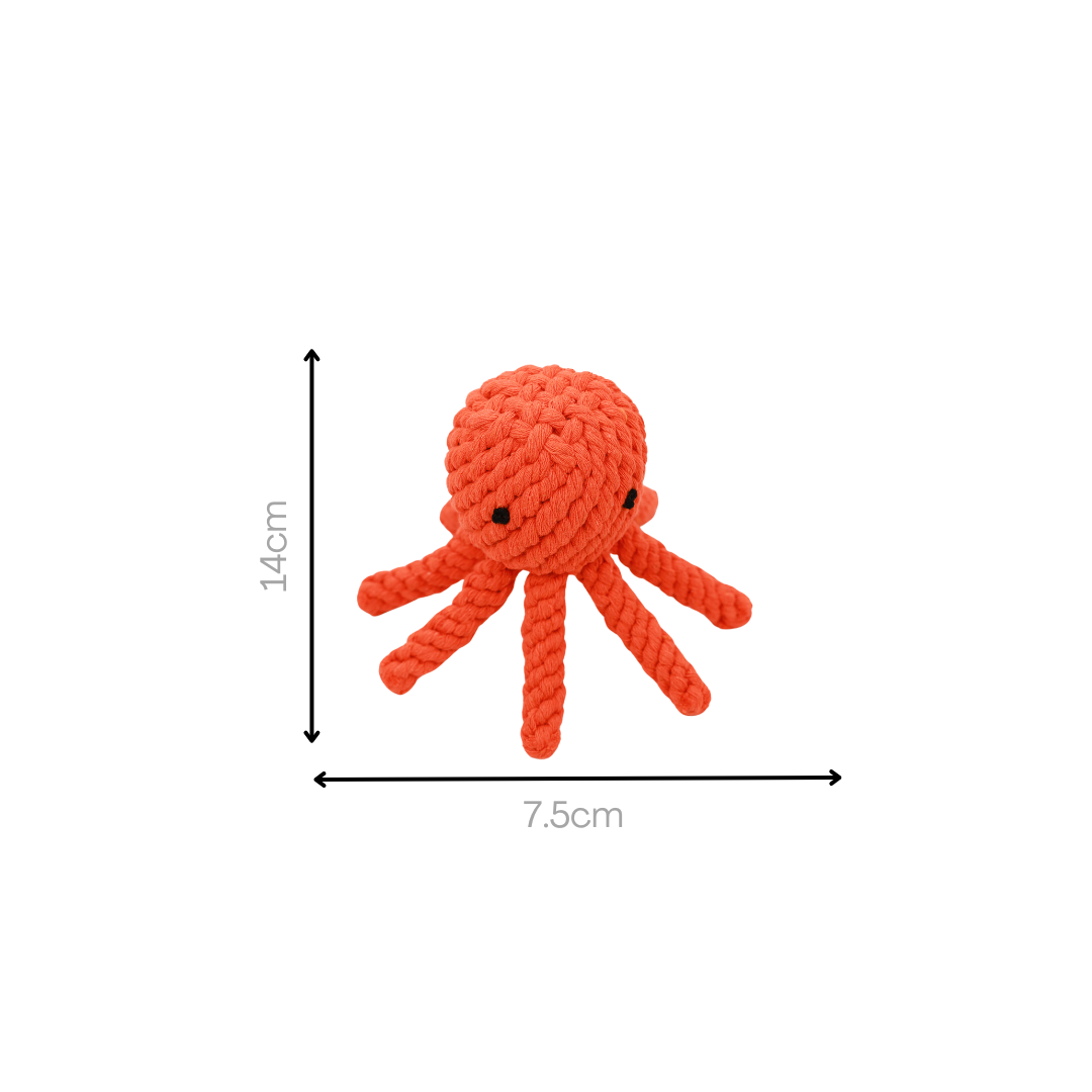 Ollie the Octopus Rope Toy-4