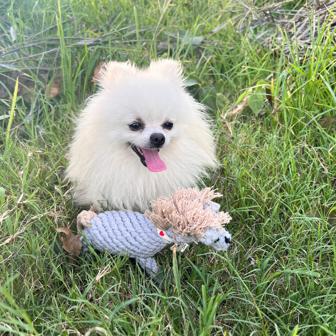 Serene the Gray Horse Rope Dog Toy - Handmade Eco-Friendly Calm Play by Knotty Pawz