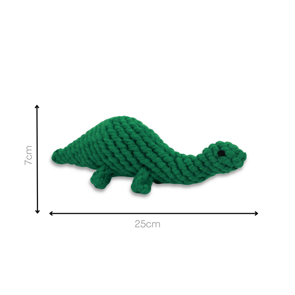 Rex the Green Dinosaur Rope Toy – Tough Tug Dog Toy by Knotty Pawz