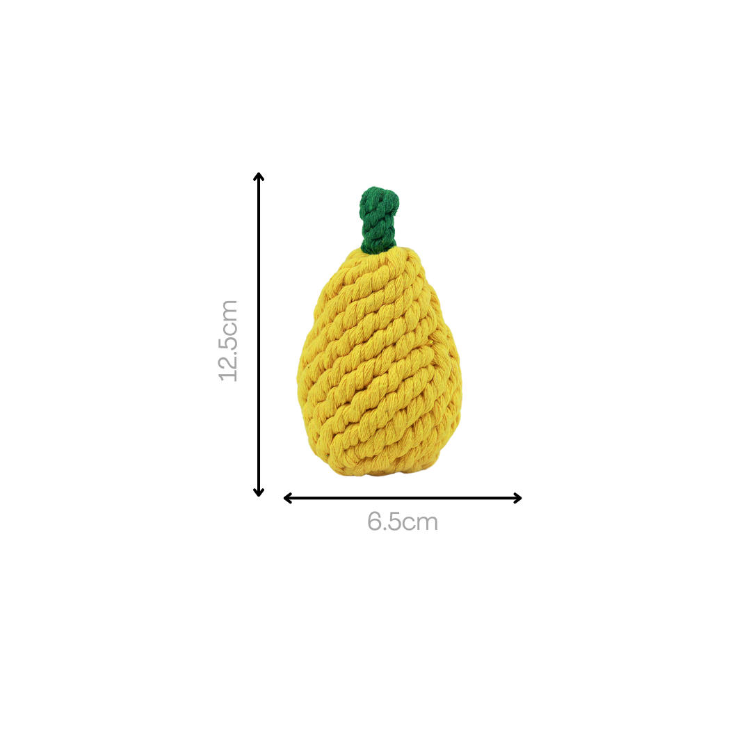 Fruity Delights Artisan Rope Dog Toys - Eco-Friendly Tug & Chew Fun by Knotty Pawz