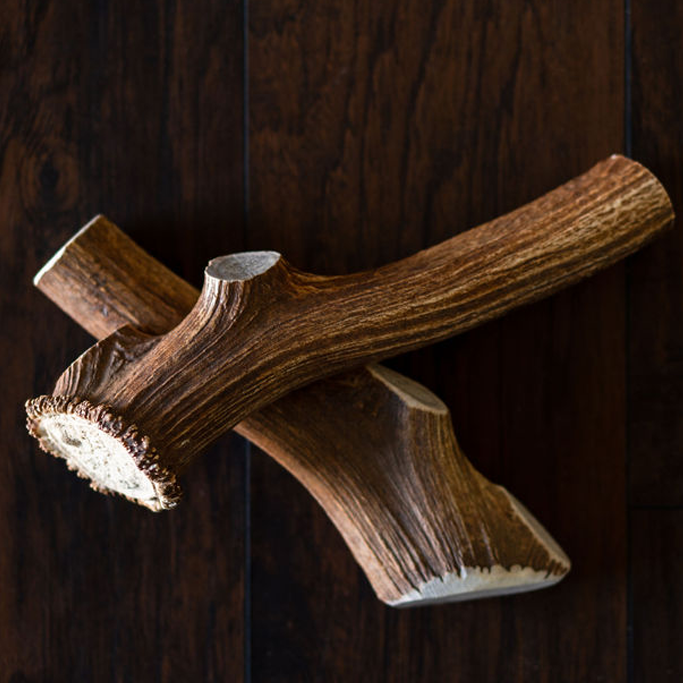 T-Rex Elk Antler Chew-0