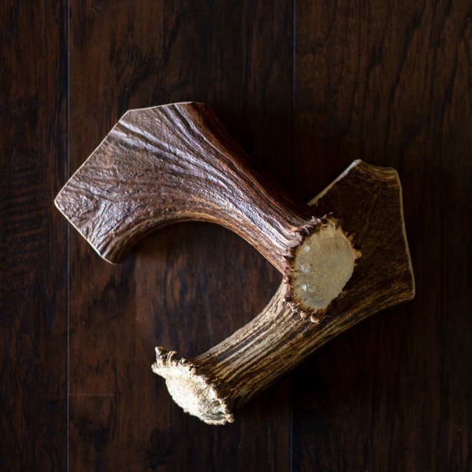 NEW!! T-Rex Moose Antler Chew-0