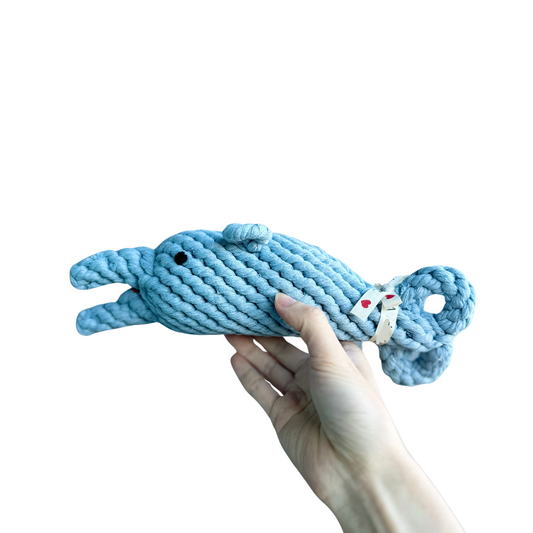 The dolphin dog toy-0