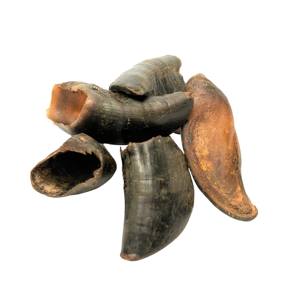 Group of Water Buffalo Hooves Dog Chews on a white background.
