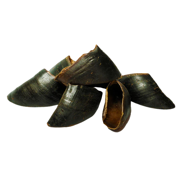 Five Water Buffalo Hooves Dog Chews on a white background.