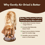 Wild-Caught Australian Jumbo Prawns Dog Treats | High-Protein Single-Ingredient Reward | Alfie’s Treatos