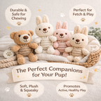 Squeaky Rope Buddies | Eco-Friendly Interactive Dog Toy | Knotty Pawz