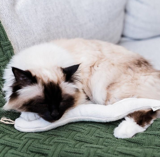 Boba & Vespa Snake Toy for Cats in Cotton with Buckwheat Crinkles and Organic Catnip-2