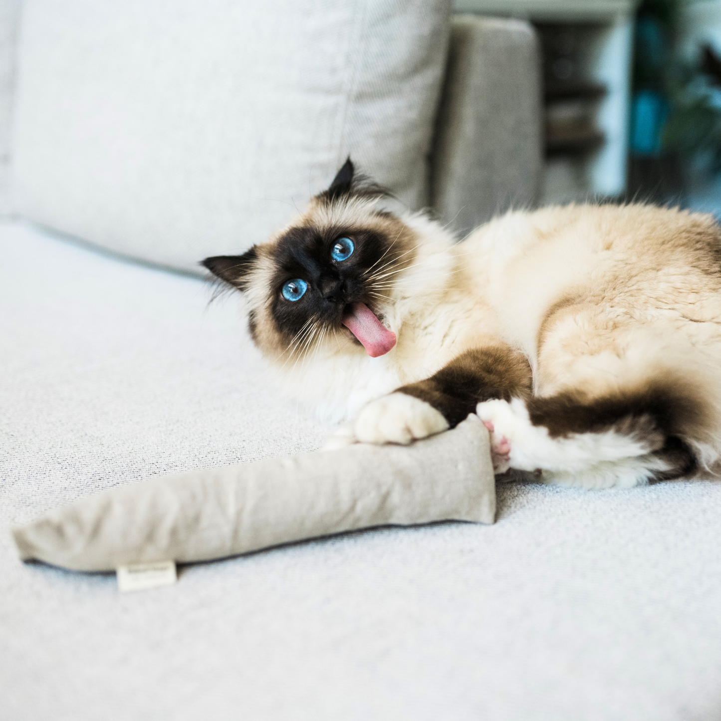 Boba & Vespa Cat Kicker Toy for Bunny Kicks in Hemp and Cotton with Organic Catnip-4