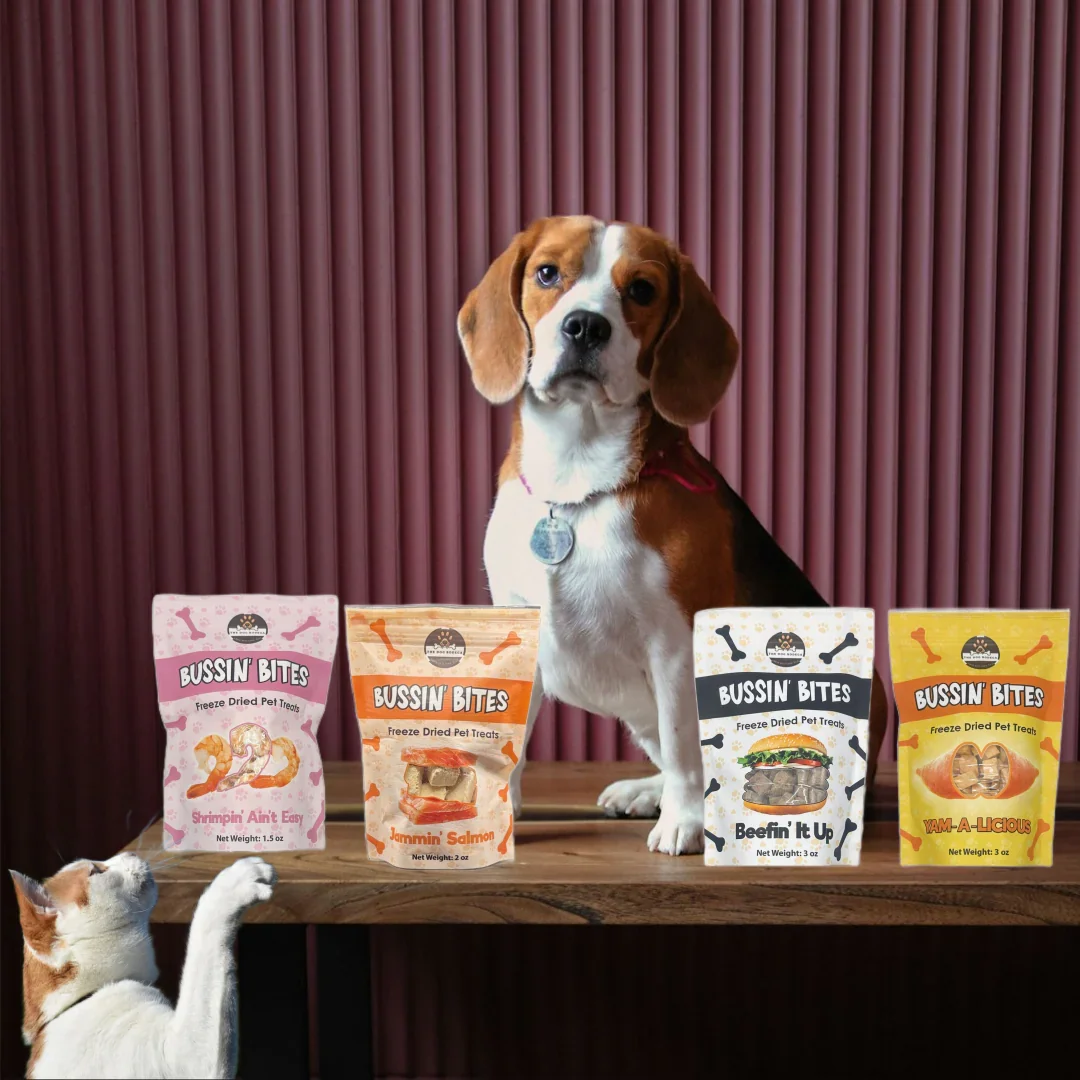 Beagle dog and cat with four Bussin' Bites freeze dried pet treats on wooden table, pink backdrop
