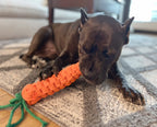 Large Carrot Rope Dog Toy - Durable Chew for Big Dogs by Knotty Pawz