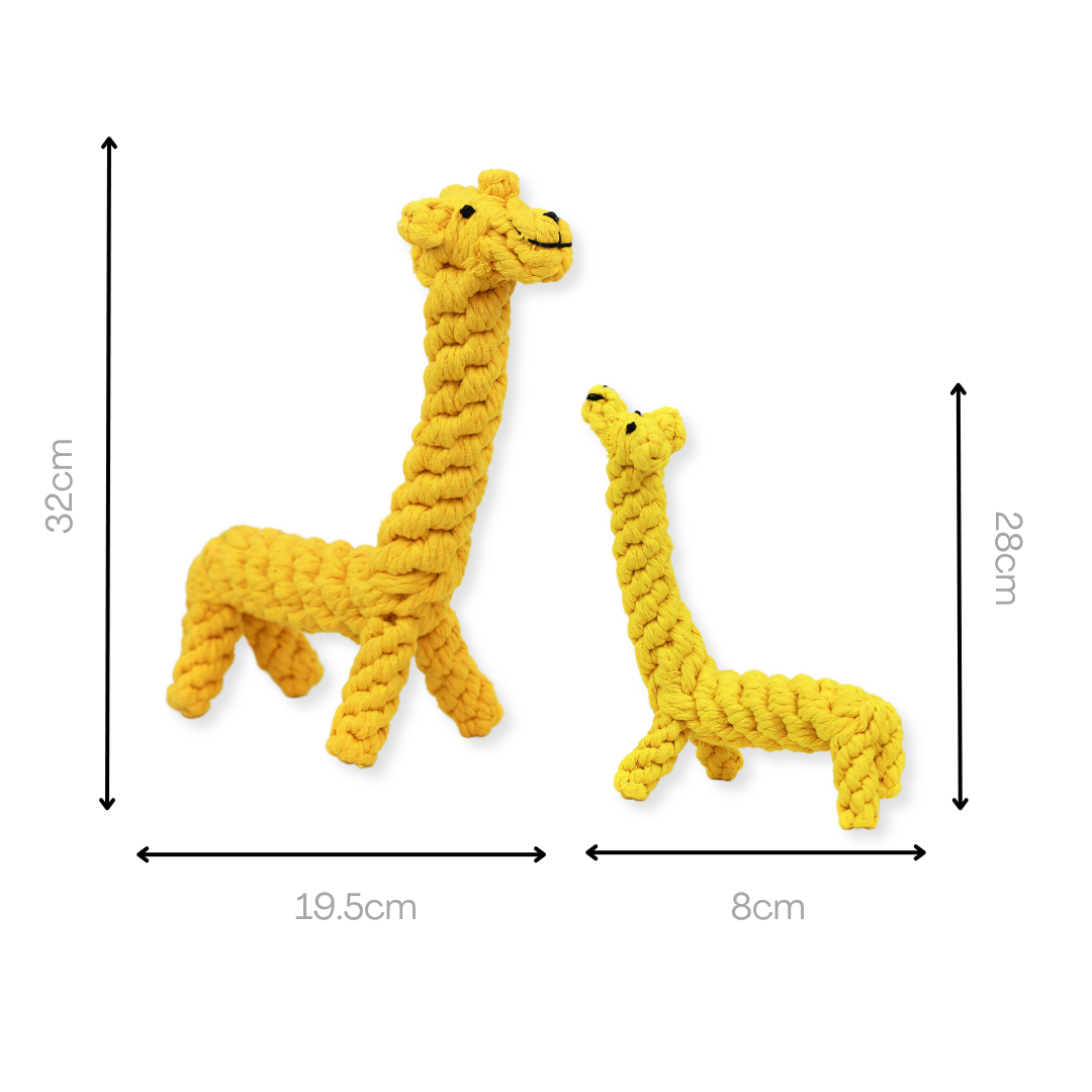 Joy the Giraffe Rope Toy-3