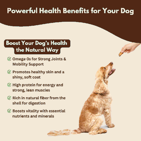 Wild-Caught Australian Jumbo Prawns Dog Treats | High-Protein Single-Ingredient Reward | Alfie’s Treatos