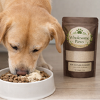 Dog eating from a bowl of food next to a package of 'Wholesome Paws' brand product.