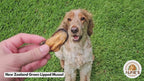 Pet owner training his dog with New Zealand Green-Lipped Mussel Dog Treats | Omega-3 Skin & Coat Support | Alfie’s Treatos