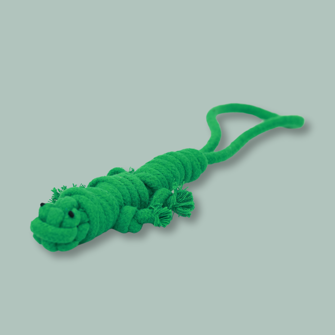Owen the Green Lizard Rope Toy-1